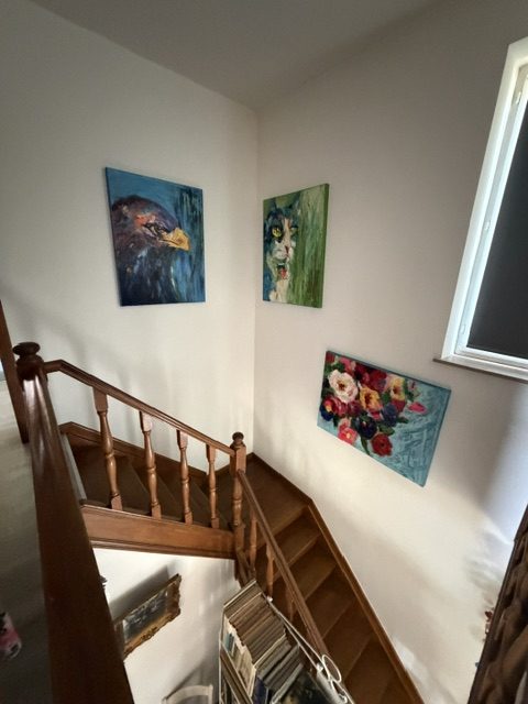 dimension-immobiliere-V-616 (9)